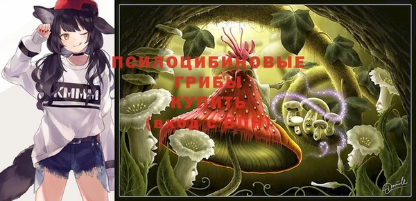 PSILOCYBIN Покров