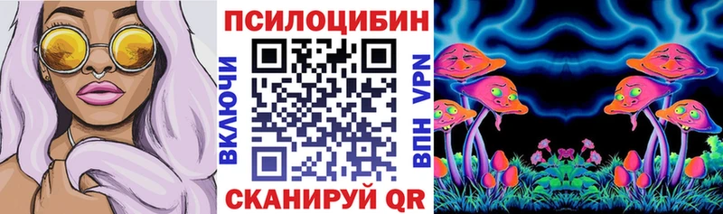 Псилоцибиновые грибы Cubensis Зеленоградск